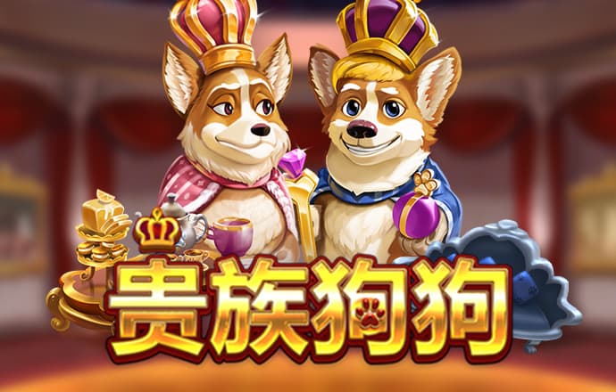 k1体育登录入口手机版官网